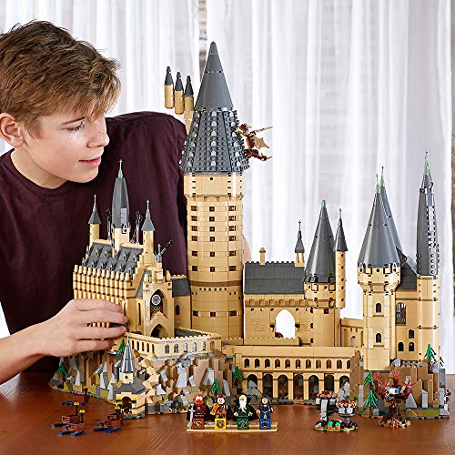 Hogwarts Castle