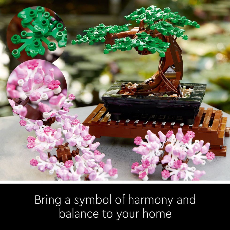 Bonsai Tree