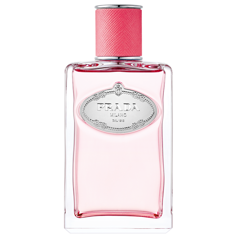 Infusão de ruibarbo do perfume 