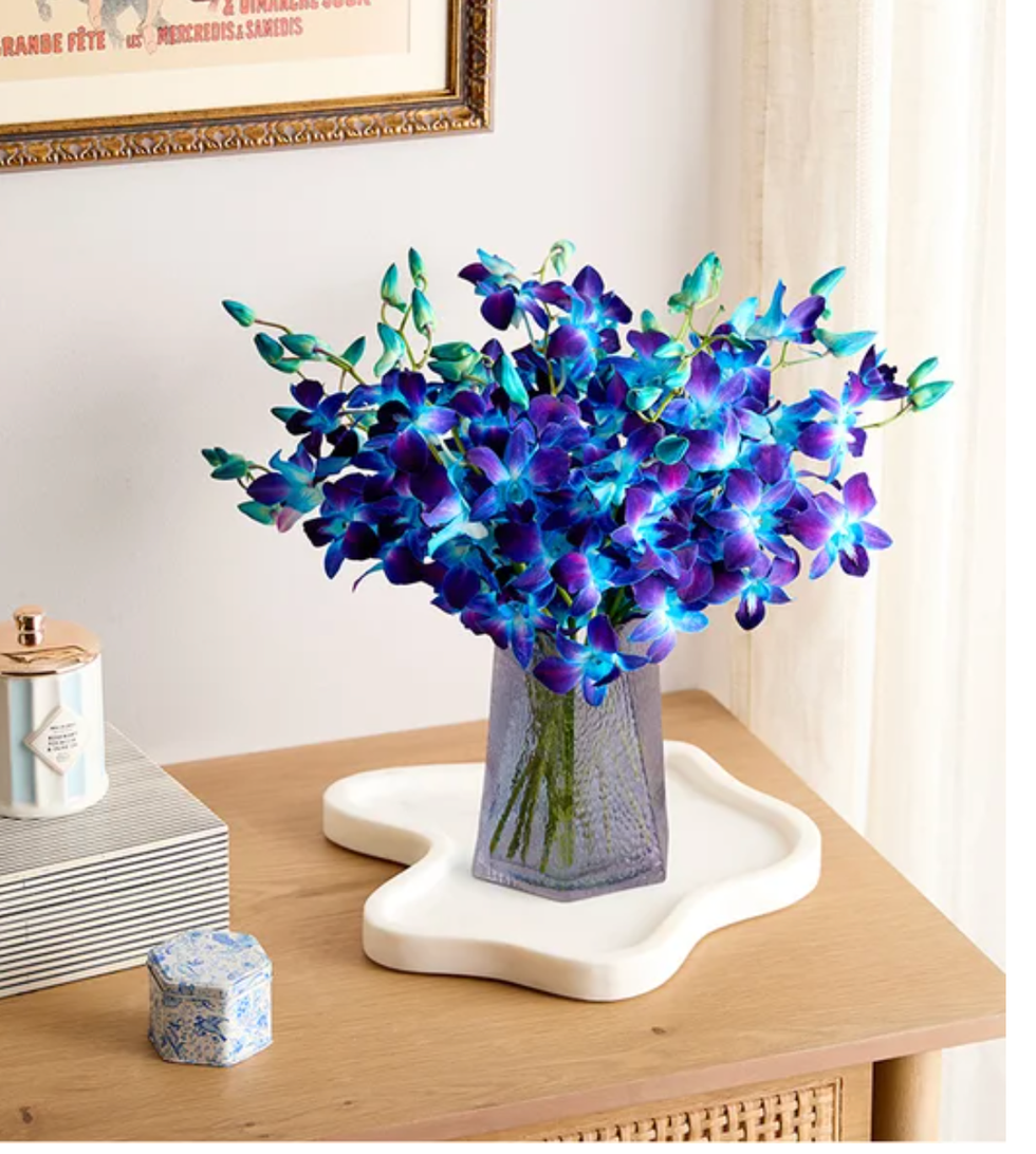 20 Stems Ocean Breeze Orchids