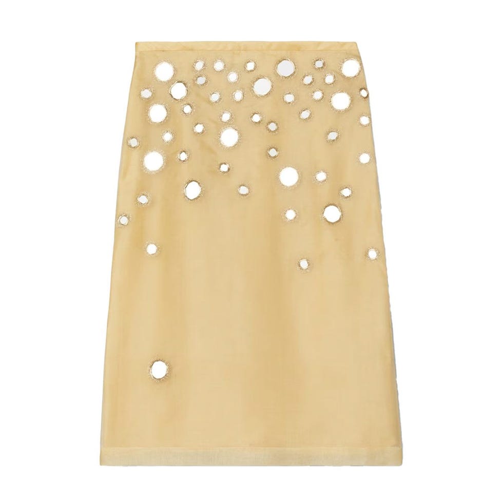 Embellished Mirror Skirt