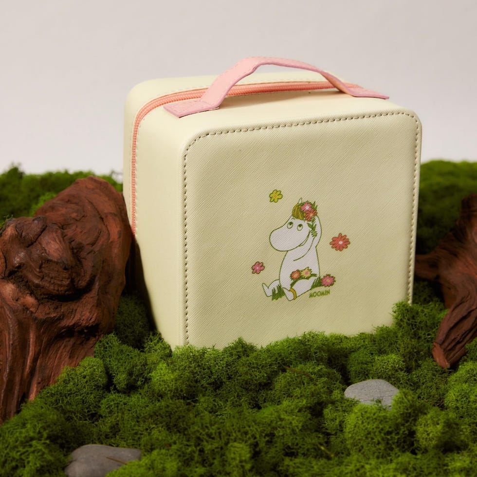 Moomin