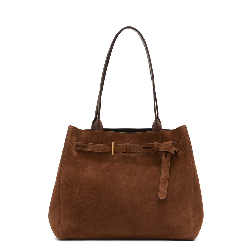 Medium Audrey Suede Tote