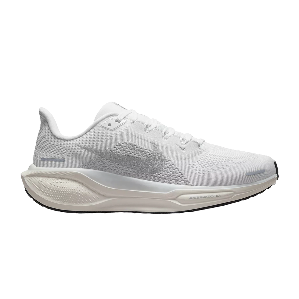 Pegasus 41