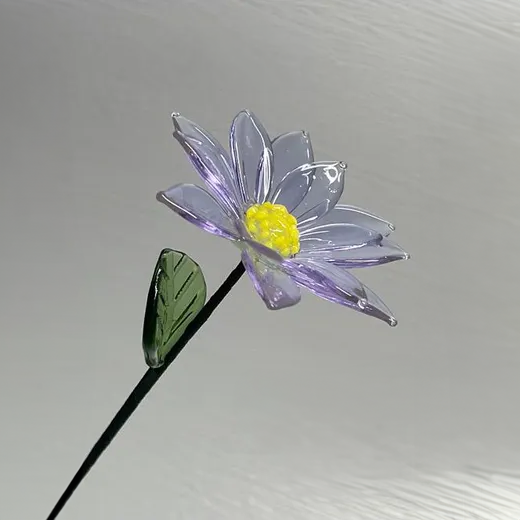 Glass Aster Flower
