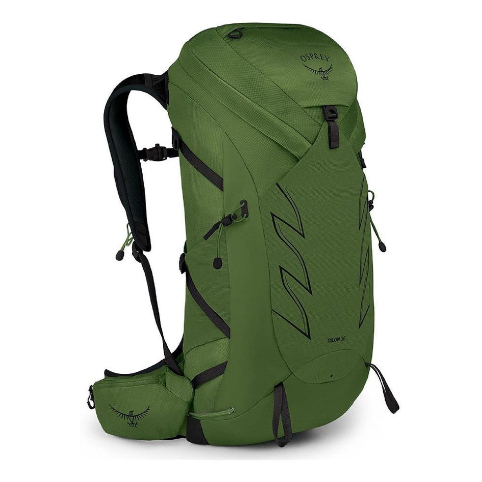 Talon 36 Pack