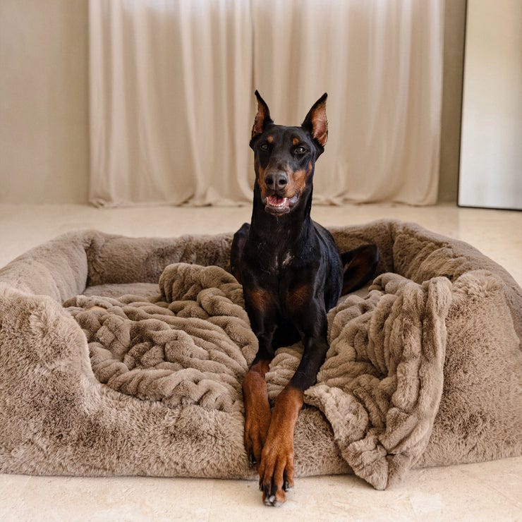 Large Lola Pet Bed