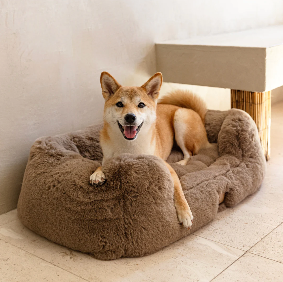 Small Lola Pet Bed