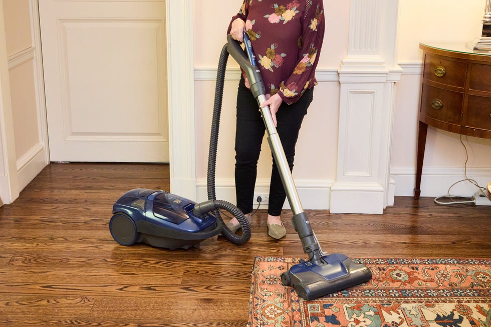 Pet Friendly POP-N-GO Bagged Canister Vacuum