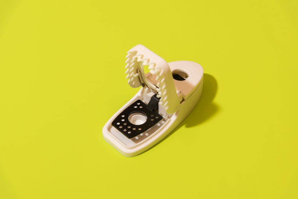 Press 'N Set Mouse Trap