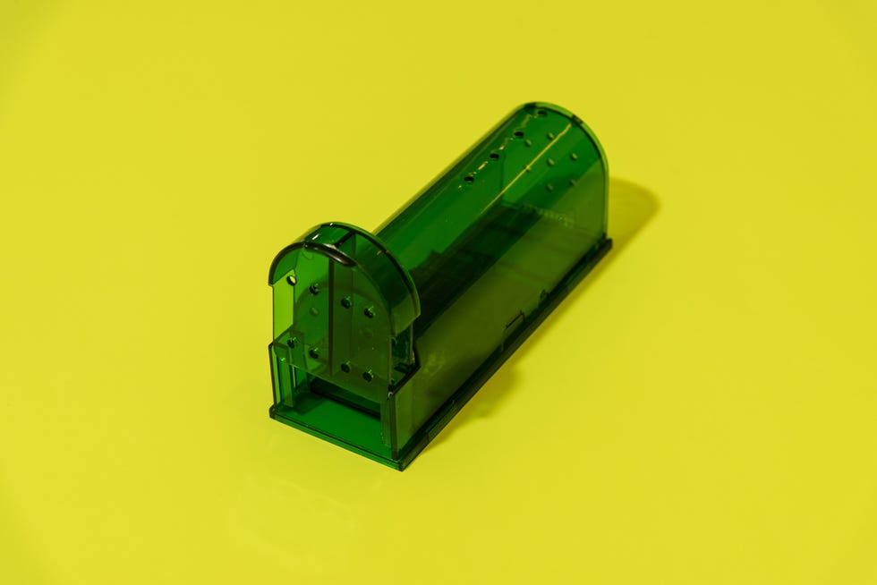 Humane Mouse Traps