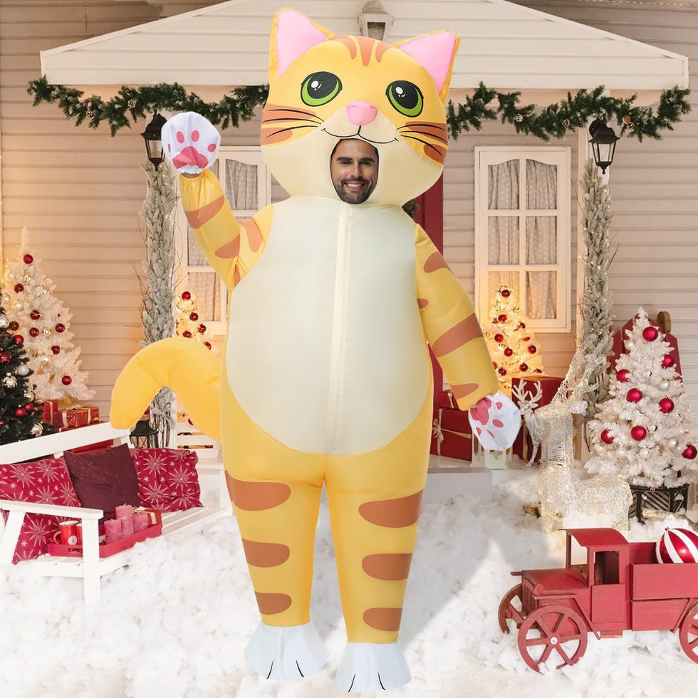 Kitty Cat
