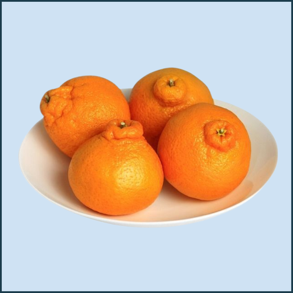 Citrus
