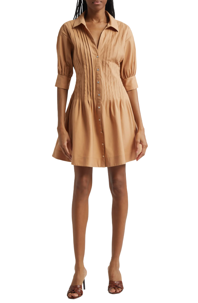 Monty Pleated Minidress