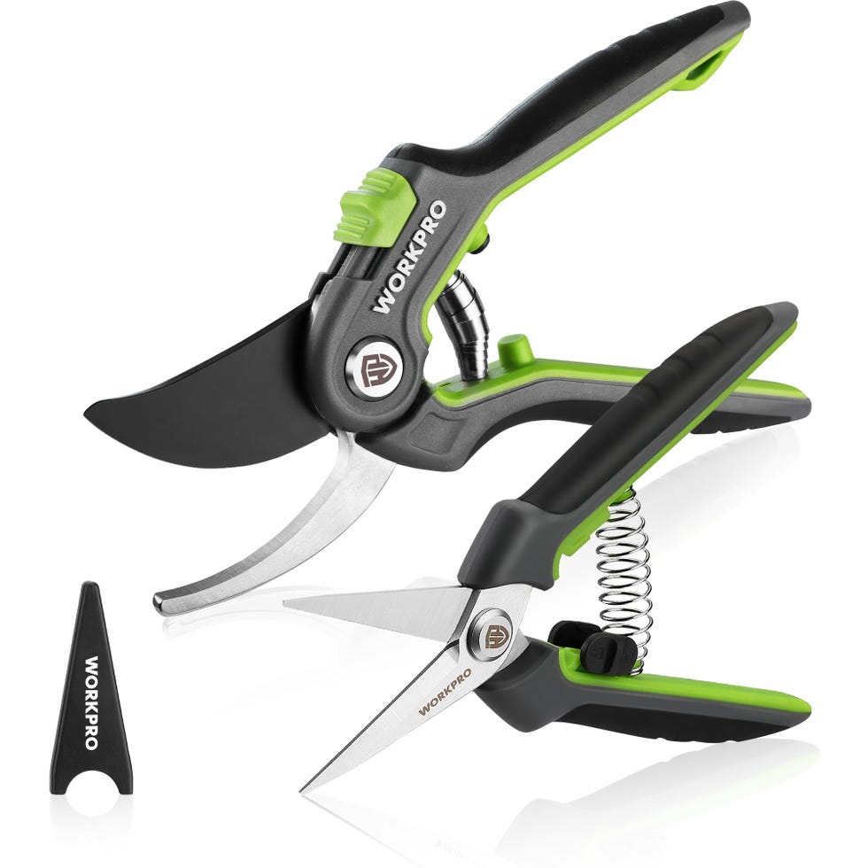 2 tijeras de podar: curva 210 mm y recta 160 mm