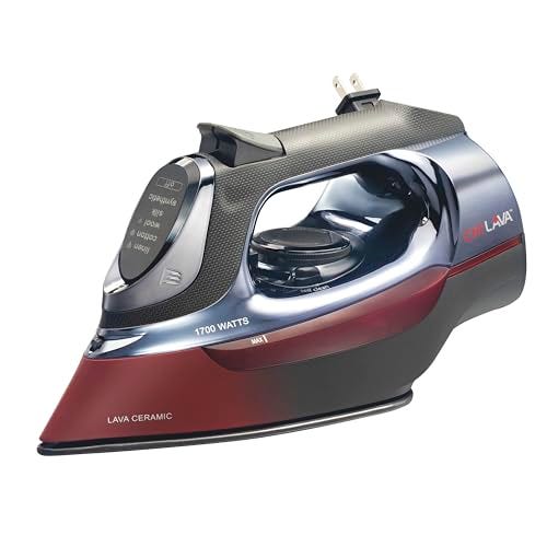 Steam Iron for Clothes