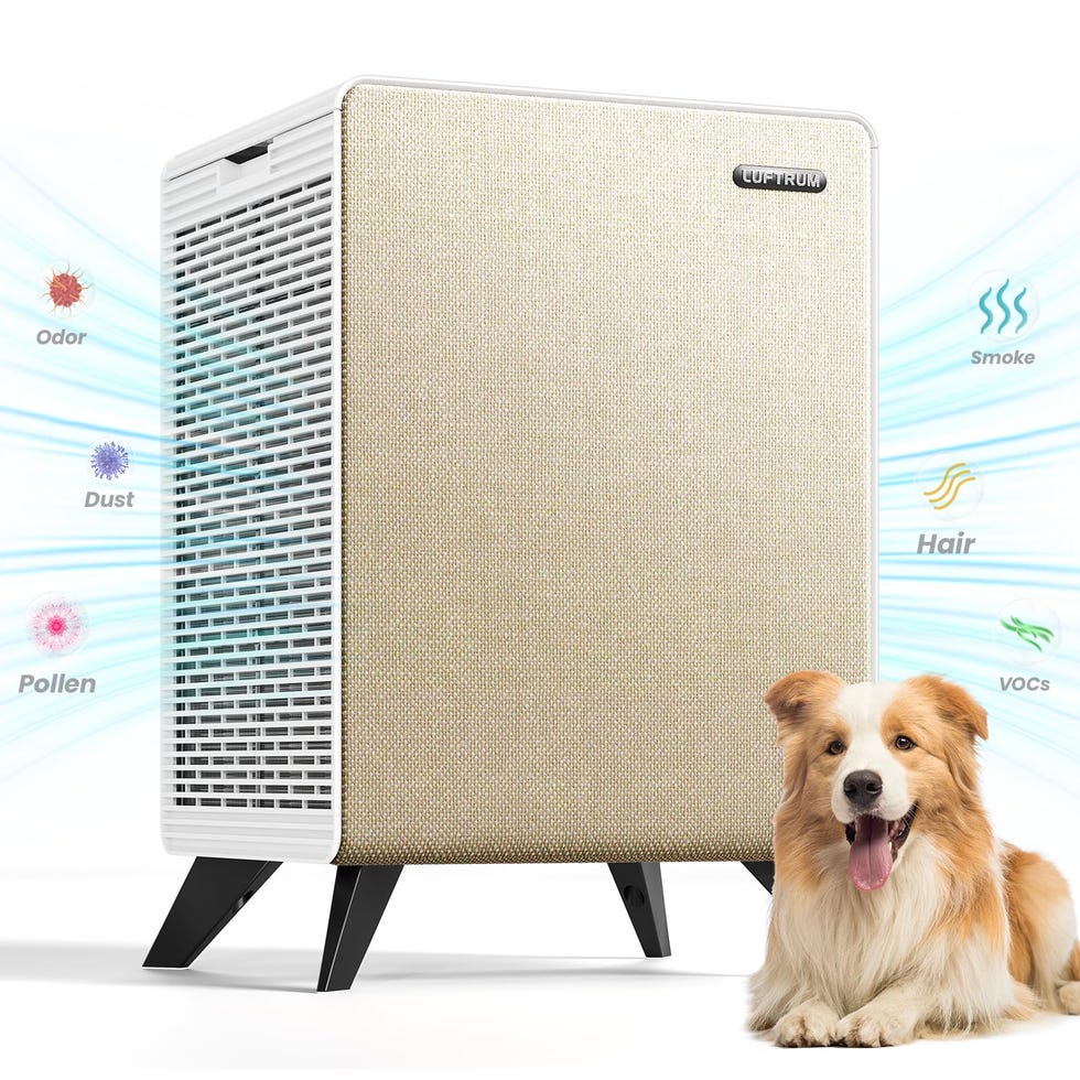 Air Purifier for Large Room
