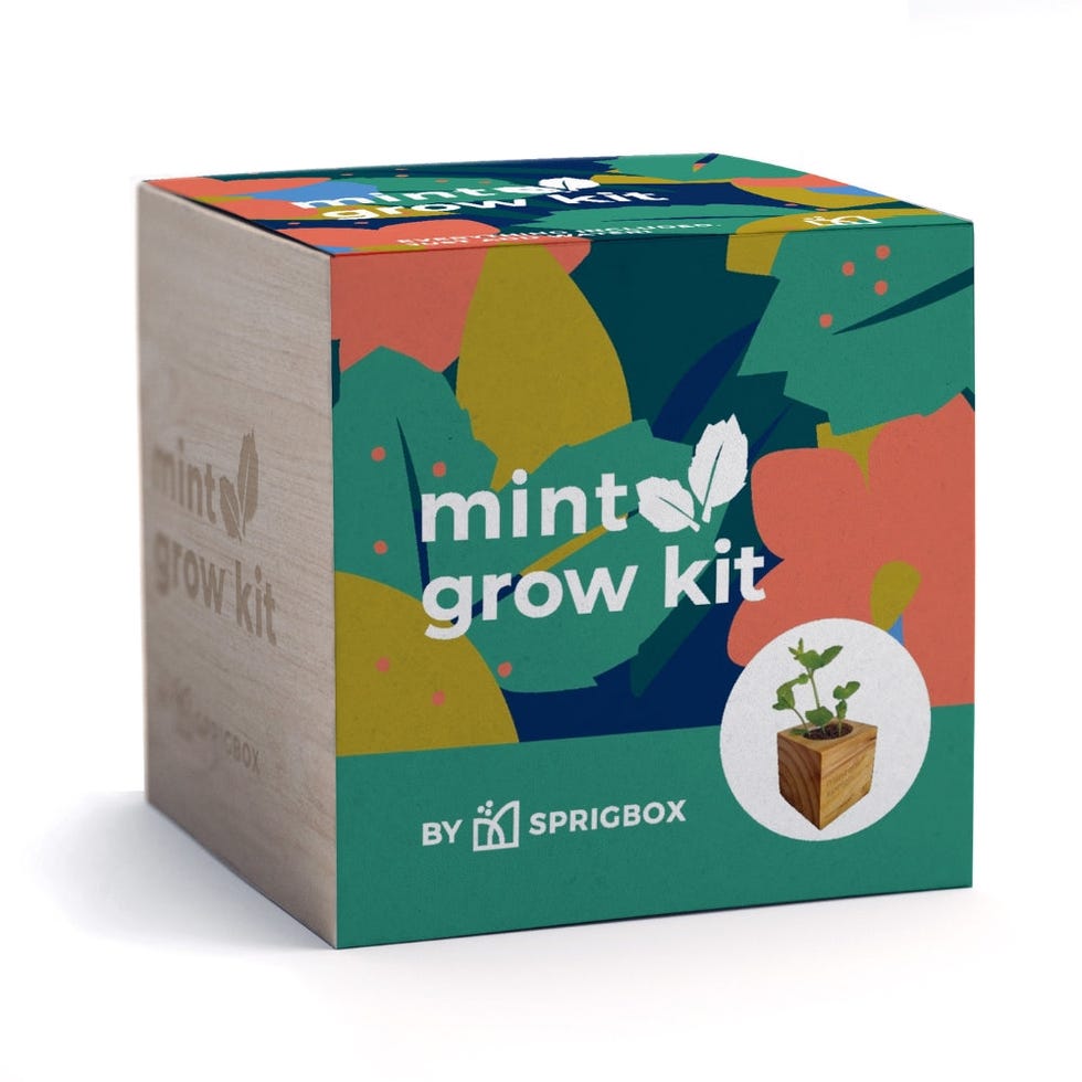 Grow Kit - Mint