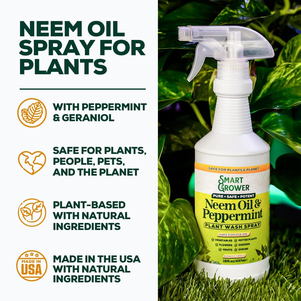Neem Oil With Peppermint Spray