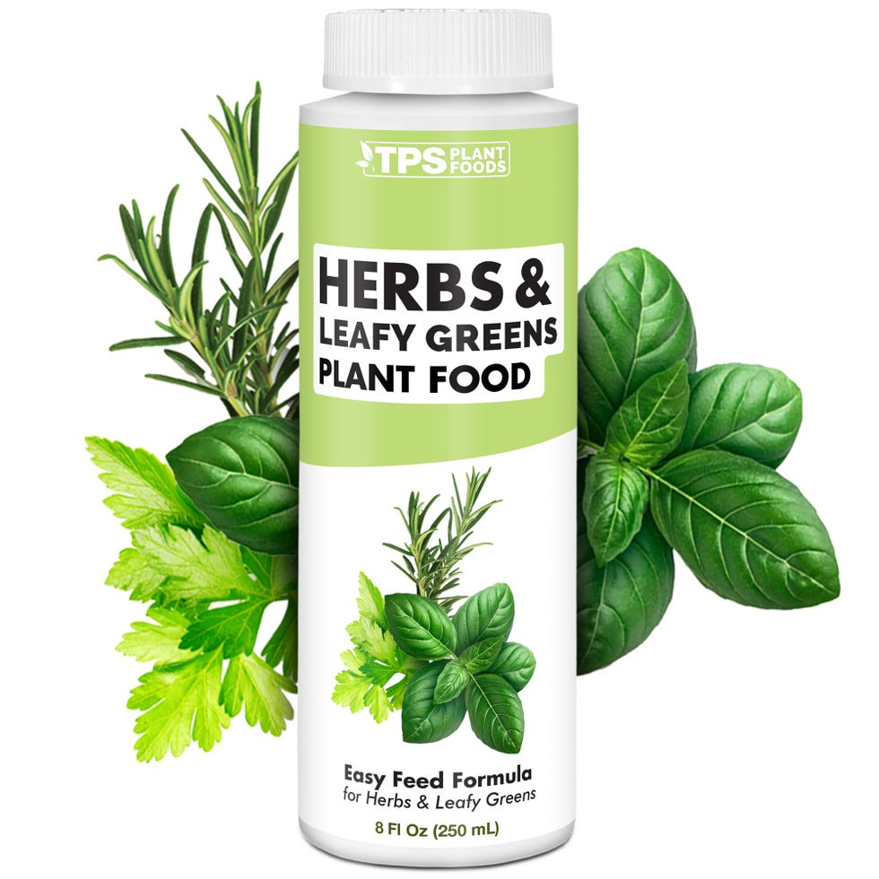 Edible Herb Plant Food