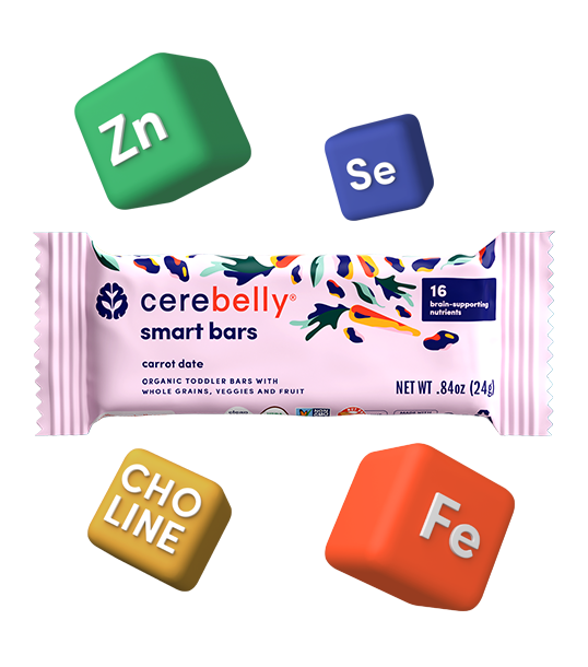 Cerebelly Carrot Date Smart Bars