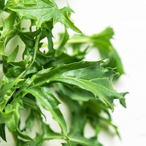 Green Mustard