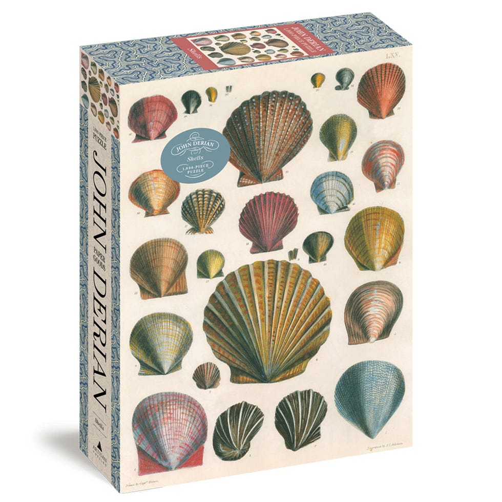 Shells 1,000 Piece Puzzle