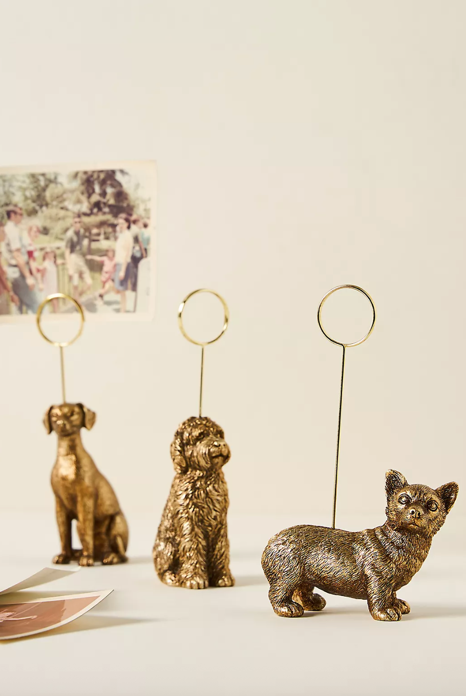 The Animal Icon Photo Holder: Dog Edition
