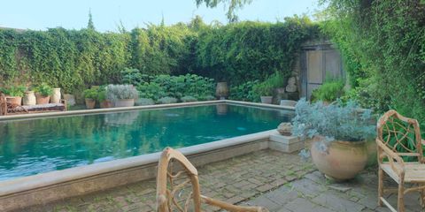 Plant, Property, Shrub, Flowerpot, Swimming pool, Garden, Real estate, Backyard, Composite material, Yard, 
