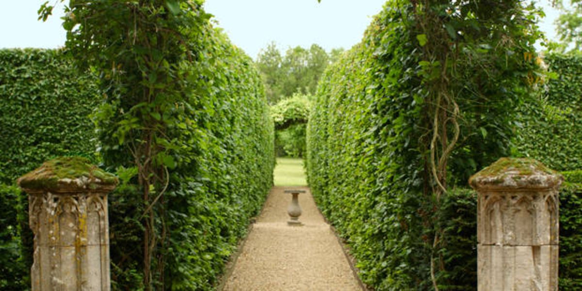 Sylvain Levy-Alban French Garden - Monastery Garden France