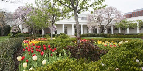 Explore The White House Rose Garden Through Jackie Kennedy Onis S Explore The White House Rose Garden Through Jackie Kennedy Onis S Eyes
