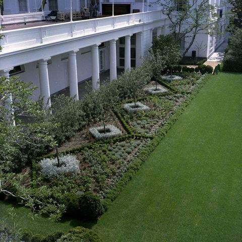 Explore The White House Rose Garden Through Jackie Kennedy Onassis's Eyes