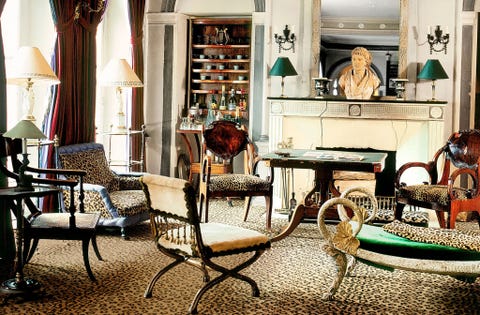Animal Print Rugs Animal Print Rugs