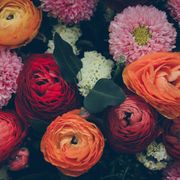 Petal, Flower, Orange, Red, Flowering plant, Floristry, Bouquet, Rose family, Cut flowers, Flower Arranging, 