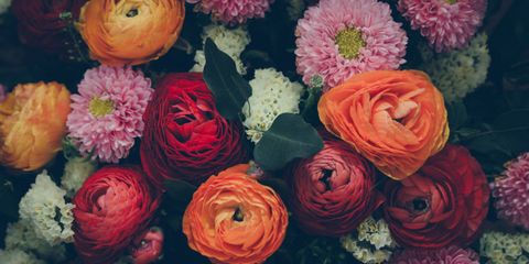 Petal, Flower, Orange, Red, Flowering plant, Floristry, Bouquet, Rose family, Cut flowers, Flower Arranging, 