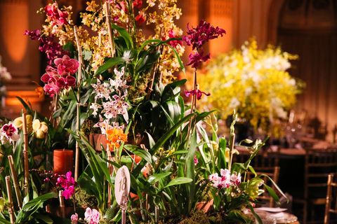 Plant, Flower, Petal, Floristry, Bouquet, Flower Arranging, Flowering plant, Floral design, Cut flowers, Wildflower, 