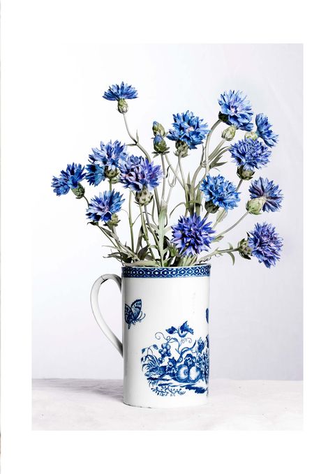 Blue, Flower, Bouquet, Petal, Cut flowers, Artifact, Flowering plant, Flower Arranging, Vase, Floristry, 