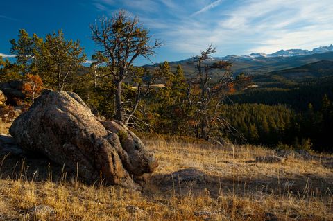 Natural landscape, Plant community, Wilderness, Grassland, Fell, Trunk, Shrubland, Chaparral, Outcrop, Meadow, 