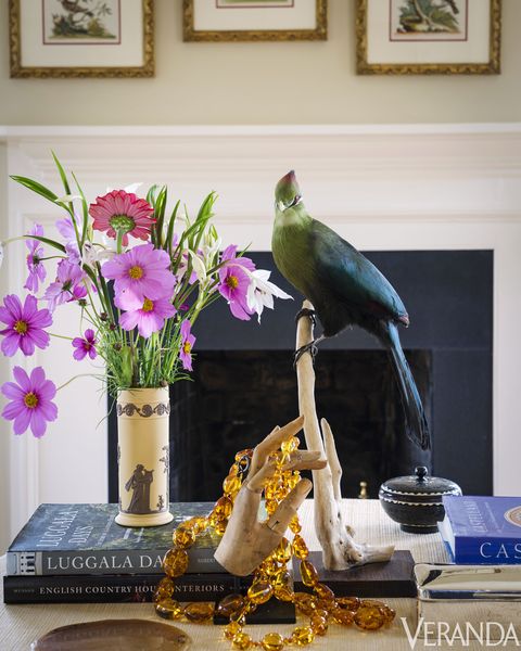 Petal, Bird, Flower, Wall, Purple, Beak, Interior design, Parrot, Bouquet, Picture frame, 