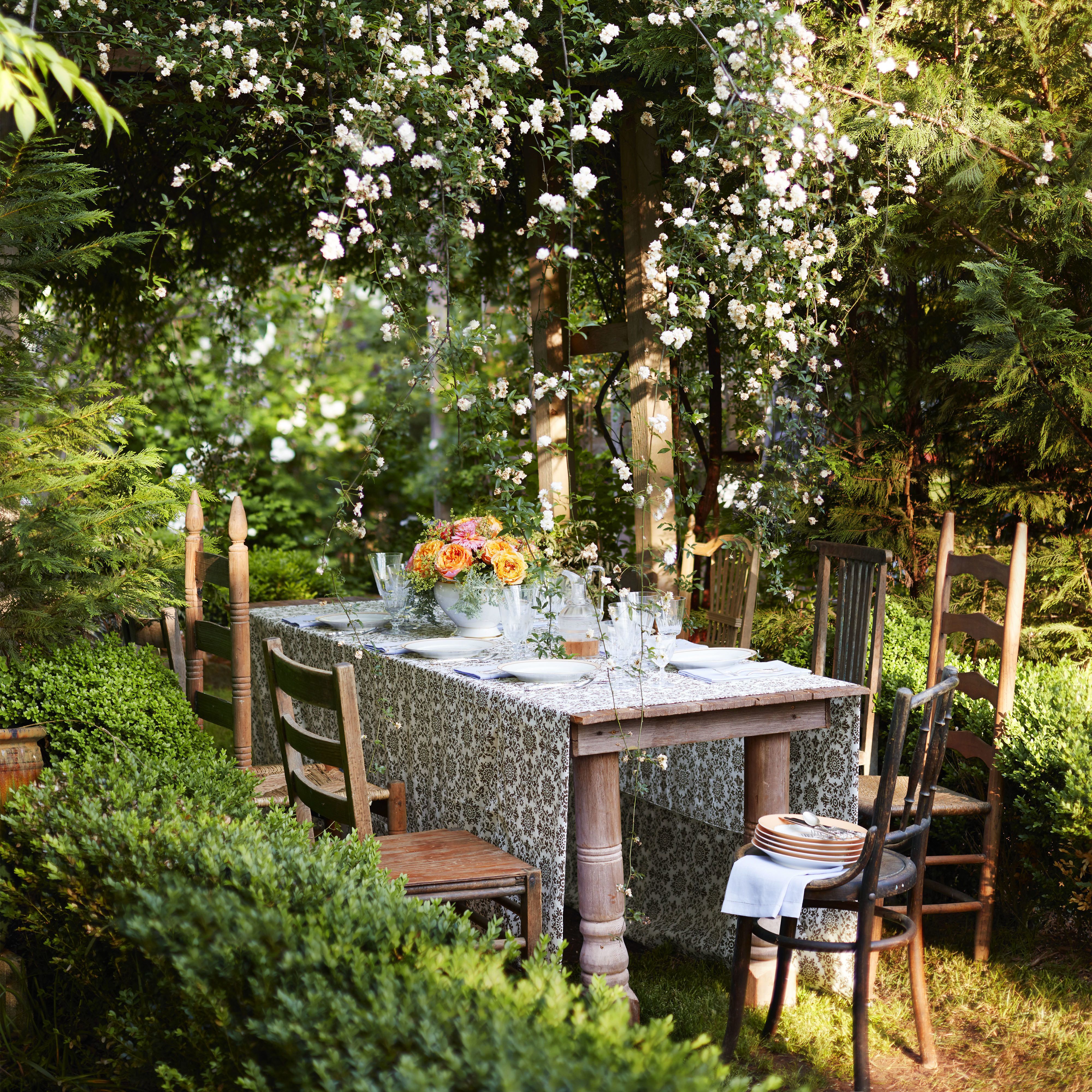 Furniture, Table, Shrub, Garden, Outdoor table, Outdoor furniture, Chair, Backyard, Yard, Patio, 