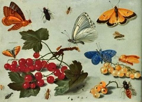Invertebrate, Organism, Arthropod, Insect, Pollinator, Butterfly, Leaf, Orange, Amber, Wing, 