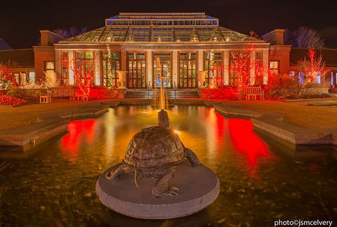 Night, Reflection, Landmark, Midnight, Electricity, Tourist attraction, Reflecting pool, Symmetry, Classical architecture, Landscape lighting, 