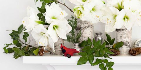Petal, Flower, Leaf, Bouquet, White, Red, Floristry, Cut flowers, Flowering plant, Carmine, 