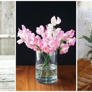 Flowerpot, Petal, Plant, Flower, Interior design, Flowering plant, Bouquet, Artifact, Vase, Cut flowers, 