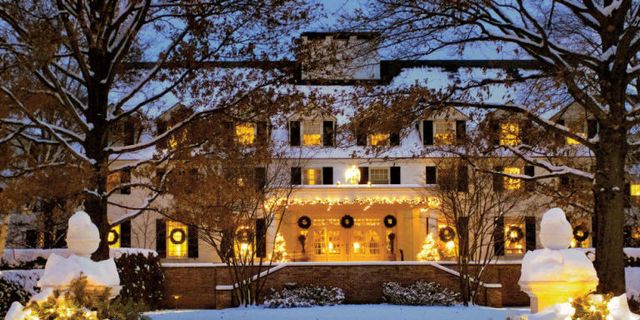 Branch, Yellow, Window, Property, Tree, Building, Winter, House, Facade, Amber, 