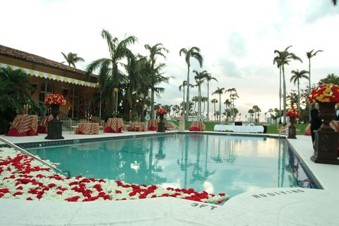 Swimming pool, Leisure, Arecales, Flowerpot, Resort, Flowering plant, Street light, Palm tree, Tropics, Resort town, 