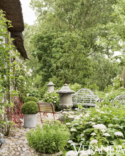 Vegetation, Garden, Green, Plant, Botany, Tree, Shrub, Leaf, House, Grass, 