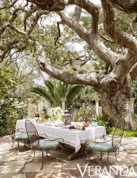 Tree, Nature, Property, Furniture, Branch, Table, Botany, Woody plant, Room, Woodland, 