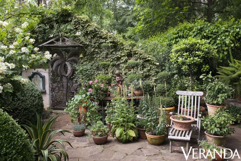 Vegetation, Garden, Botanical garden, Tree, Botany, Plant, Shrub, House, Landscaping, Yard, 