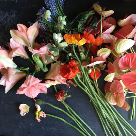 Flower, Bouquet, Cut flowers, Flower Arranging, Floristry, Plant, Floral design, Flowering plant, Petal, Still life, 